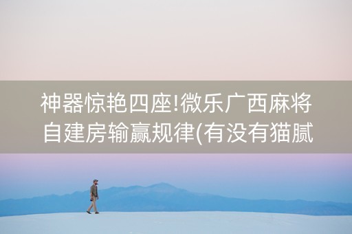 神器惊艳四座!微乐广西麻将自建房输赢规律(有没有猫腻)