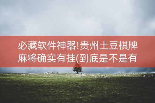 必藏软件神器!贵州土豆棋牌麻将确实有挂(到底是不是有挂)