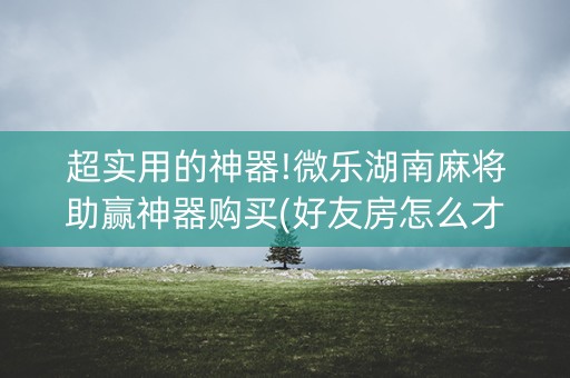 超实用的神器!微乐湖南麻将助赢神器购买(好友房怎么才能赢)