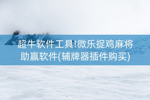 超牛软件工具!微乐捉鸡麻将助赢软件(辅牌器插件购买)