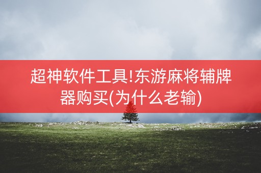 超神软件工具!东游麻将辅牌器购买(为什么老输)
