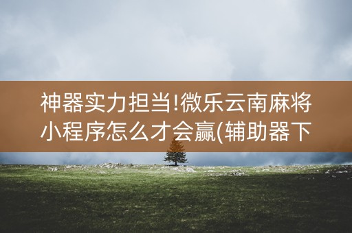 神器实力担当!微乐云南麻将小程序怎么才会赢(辅助器下载)
