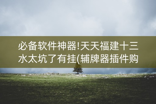 必备软件神器!天天福建十三水太坑了有挂(辅牌器插件购买)
