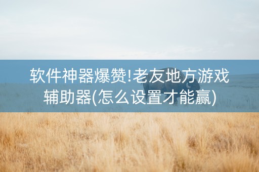 软件神器爆赞!老友地方游戏辅助器(怎么设置才能赢)