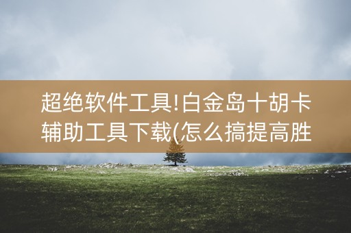 超绝软件工具!白金岛十胡卡辅助工具下载(怎么搞提高胜率)