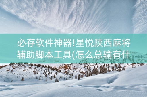 必存软件神器!星悦陕西麻将辅助脚本工具(怎么总输有什么猫腻)