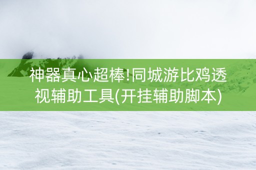 神器真心超棒!同城游比鸡透视辅助工具(开挂辅助脚本)