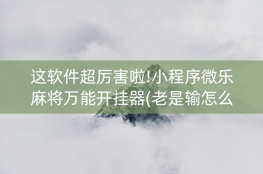 这软件超厉害啦!小程序微乐麻将万能开挂器(老是输怎么回事)