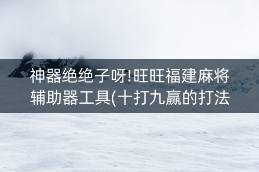 神器绝绝子呀!旺旺福建麻将辅助器工具(十打九赢的打法)