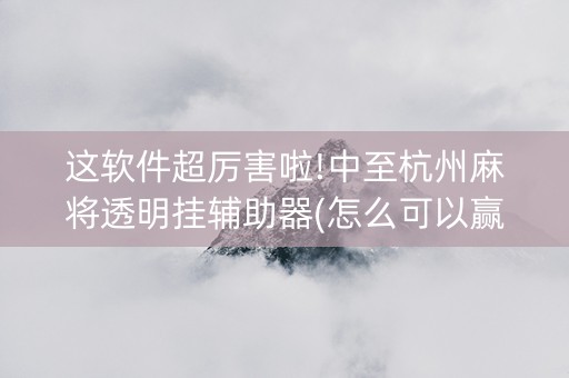 这软件超厉害啦!中至杭州麻将透明挂辅助器(怎么可以赢)
