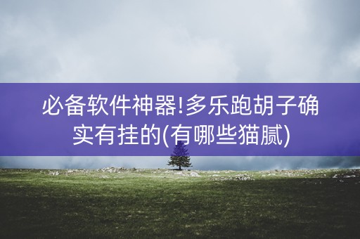 必备软件神器!多乐跑胡子确实有挂的(有哪些猫腻)