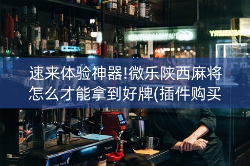 速来体验神器!微乐陕西麻将怎么才能拿到好牌(插件购买输赢规律)