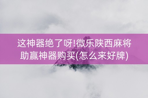这神器绝了呀!微乐陕西麻将助赢神器购买(怎么来好牌)