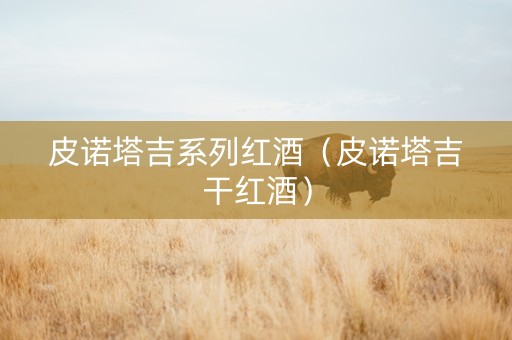 皮诺塔吉系列红酒（皮诺塔吉干红酒）