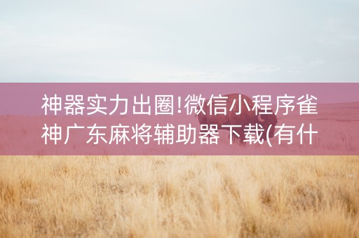 神器实力出圈!微信小程序雀神广东麻将辅助器下载(有什么技巧)