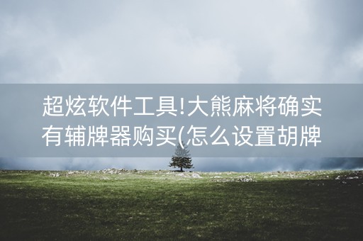 超炫软件工具!大熊麻将确实有辅牌器购买(怎么设置胡牌)
