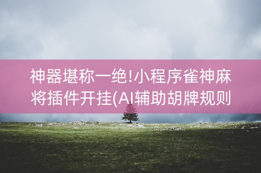 神器堪称一绝!小程序雀神麻将插件开挂(AI辅助胡牌规则)