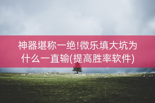 神器堪称一绝!微乐填大坑为什么一直输(提高胜率软件)