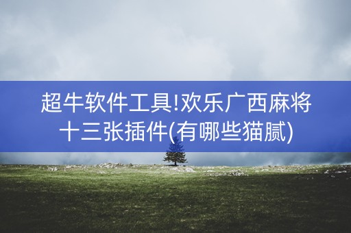超牛软件工具!欢乐广西麻将十三张插件(有哪些猫腻)
