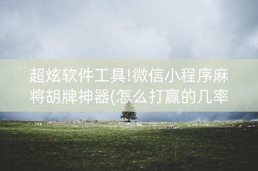 超炫软件工具!微信小程序麻将胡牌神器(怎么打赢的几率大)