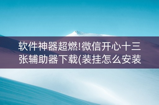 软件神器超燃!微信开心十三张辅助器下载(装挂怎么安装)