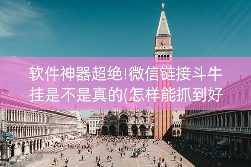 软件神器超绝!微信链接斗牛挂是不是真的(怎样能抓到好牌)