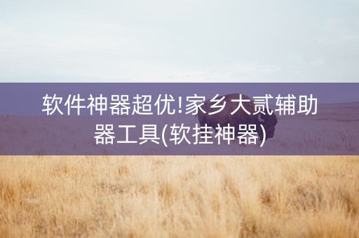 软件神器超优!家乡大贰辅助器工具(软挂神器)