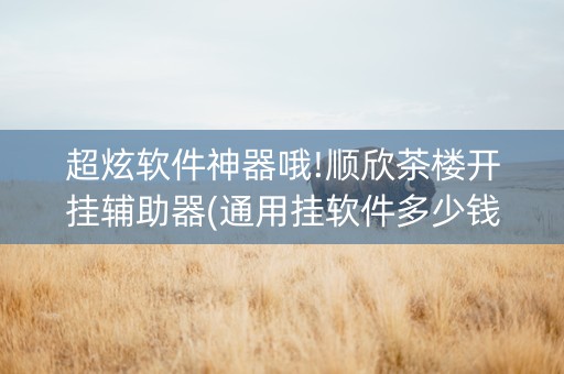 超炫软件神器哦!顺欣茶楼开挂辅助器(通用挂软件多少钱)