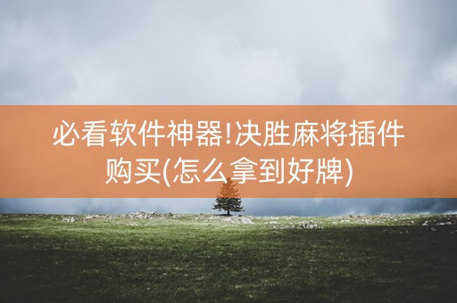 必看软件神器!决胜麻将插件购买(怎么拿到好牌)