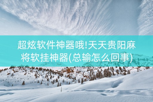 超炫软件神器哦!天天贵阳麻将软挂神器(总输怎么回事)