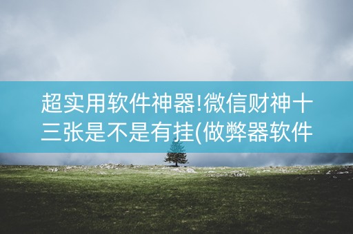超实用软件神器!微信财神十三张是不是有挂(做弊器软件下载)