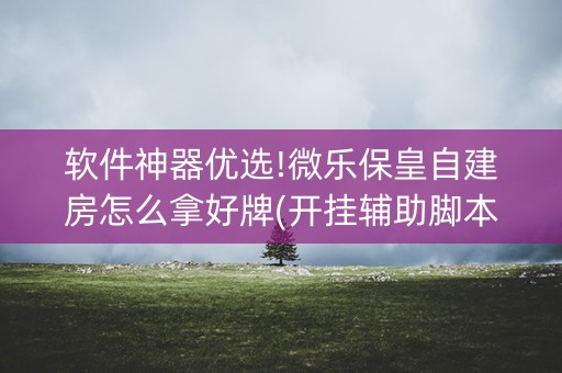 软件神器优选!微乐保皇自建房怎么拿好牌(开挂辅助脚本)