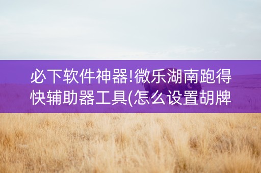 必下软件神器!微乐湖南跑得快辅助器工具(怎么设置胡牌)