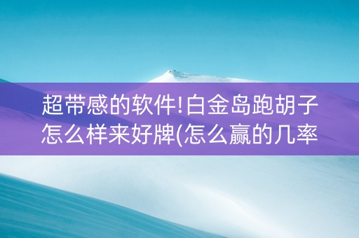 超带感的软件!白金岛跑胡子怎么样来好牌(怎么赢的几率大)