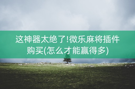 这神器太绝了!微乐麻将插件购买(怎么才能赢得多)