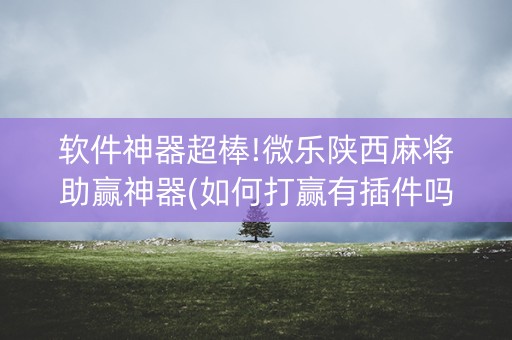 软件神器超棒!微乐陕西麻将助赢神器(如何打赢有插件吗)