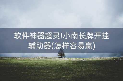 软件神器超灵!小南长牌开挂辅助器(怎样容易赢)
