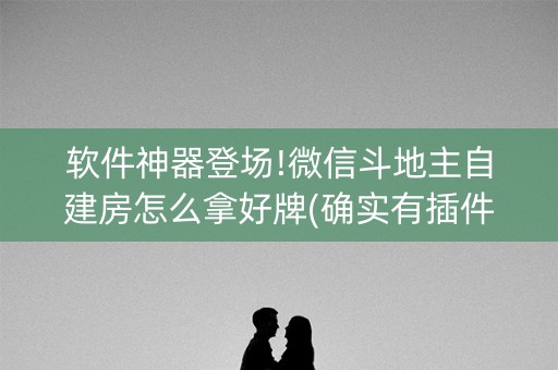 软件神器登场!微信斗地主自建房怎么拿好牌(确实有插件吗)