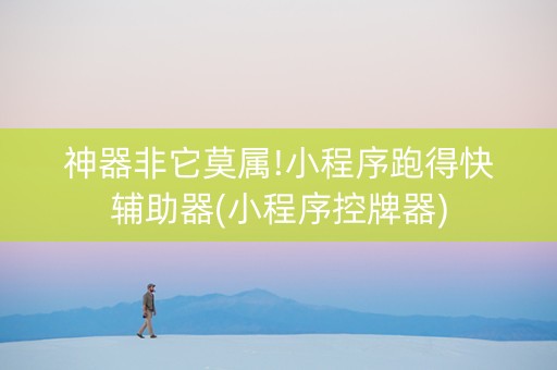 神器非它莫属!小程序跑得快辅助器(小程序控牌器)