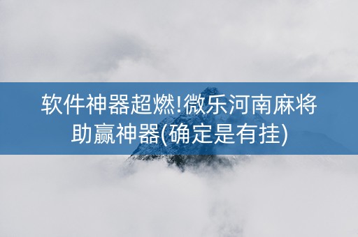 软件神器超燃!微乐河南麻将助赢神器(确定是有挂)