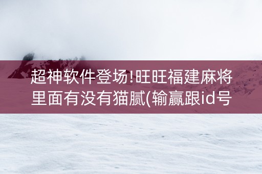超神软件登场!旺旺福建麻将里面有没有猫腻(输赢跟id号有关系吗)