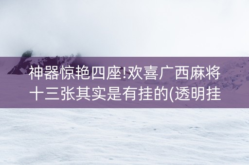 神器惊艳四座!欢喜广西麻将十三张其实是有挂的(透明挂辅助器)