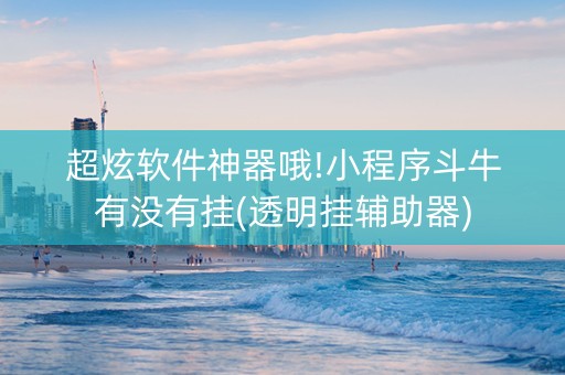 超炫软件神器哦!小程序斗牛有没有挂(透明挂辅助器)