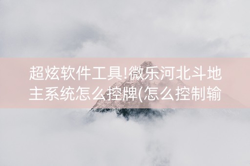 超炫软件工具!微乐河北斗地主系统怎么控牌(怎么控制输赢)