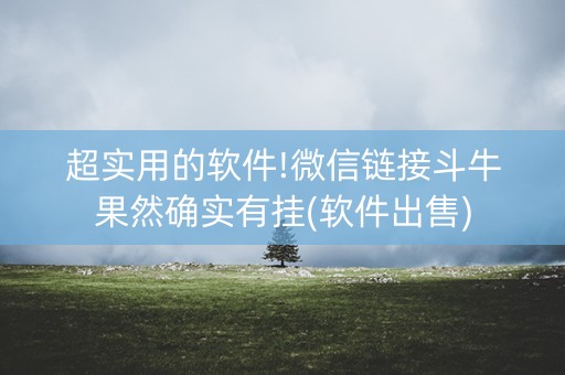 超实用的软件!微信链接斗牛果然确实有挂(软件出售)