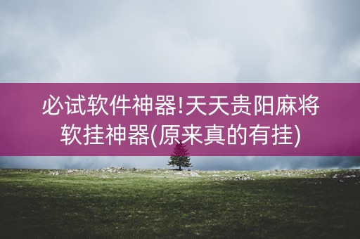 必试软件神器!天天贵阳麻将软挂神器(原来真的有挂)