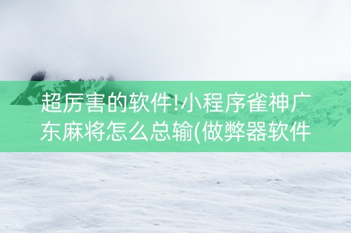 超厉害的软件!小程序雀神广东麻将怎么总输(做弊器软件下载)