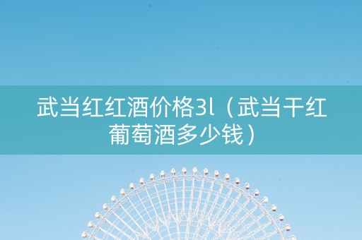 武当红红酒价格3l（武当干红葡萄酒多少钱）