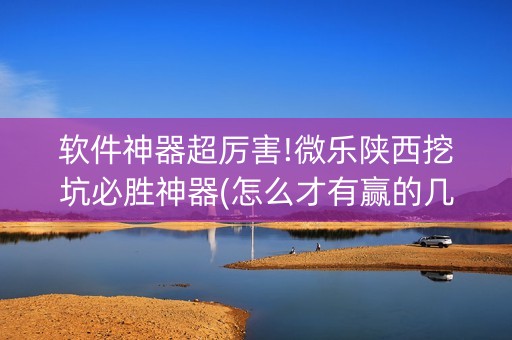 软件神器超厉害!微乐陕西挖坑必胜神器(怎么才有赢的几率)