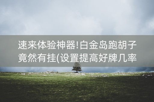 速来体验神器!白金岛跑胡子竟然有挂(设置提高好牌几率)